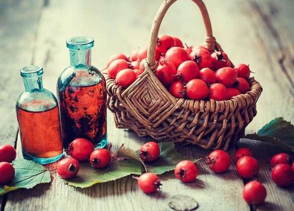 Frutas de Hawthorn para aumentar un miembro