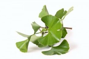 Ginkgo biloba para agrandar el pene.
